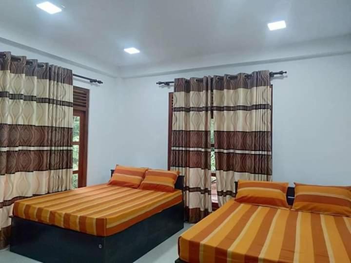 Stream Home هابيوتيل المظهر الخارجي الصورة